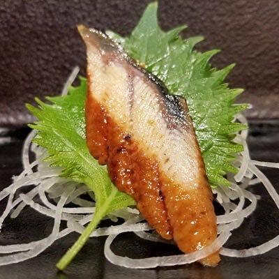Sashimi Eel