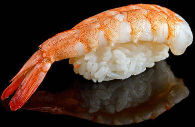 Sushi Shrimp Ebi